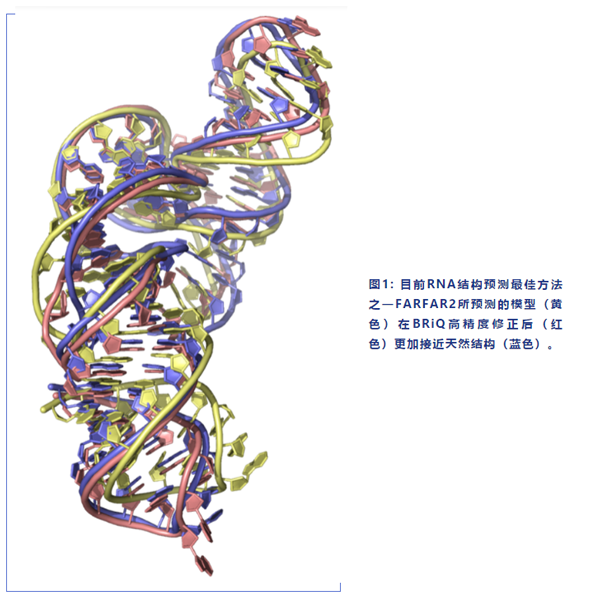 科研动态.png